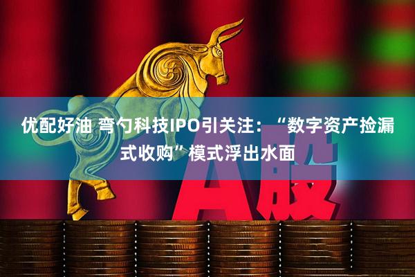 优配好油 弯勺科技IPO引关注：“数字资产捡漏式收购”模式浮出水面