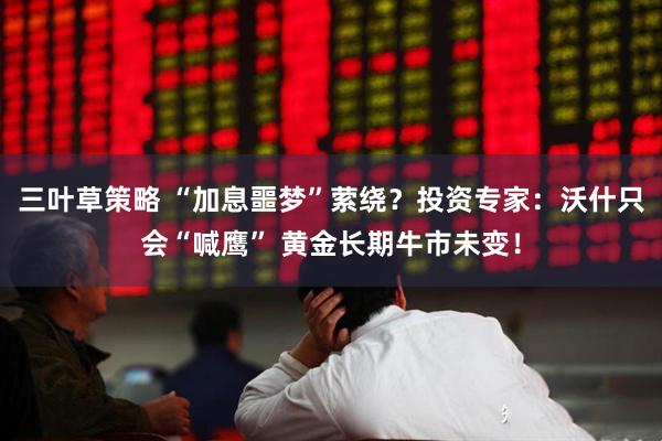 三叶草策略 “加息噩梦”萦绕？投资专家：沃什只会“喊鹰” 黄金长期牛市未变！
